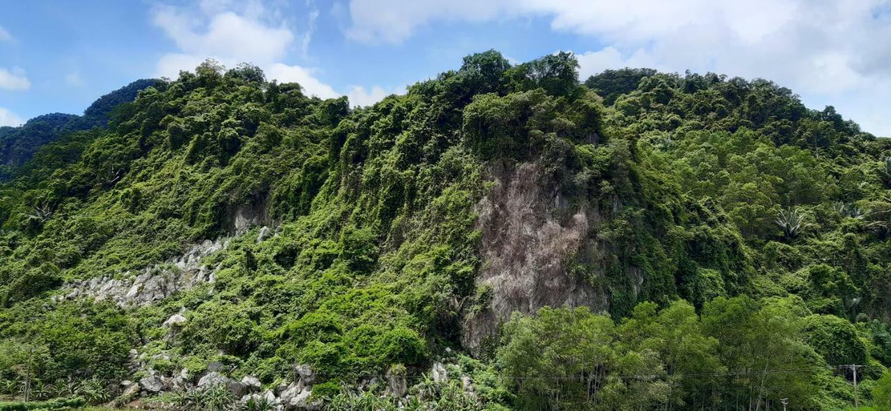Phong Nha Bolero Bungalow Esterno foto
