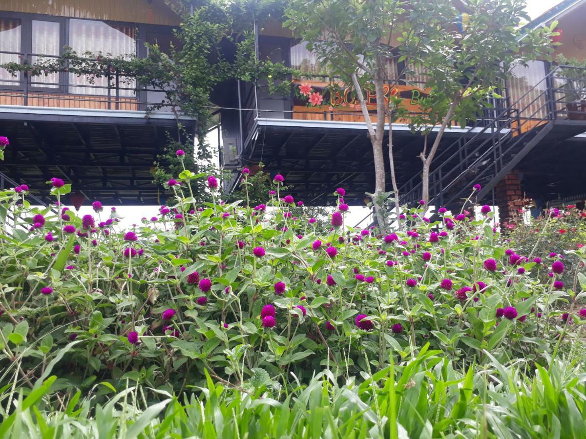 Phong Nha Bolero Bungalow Esterno foto